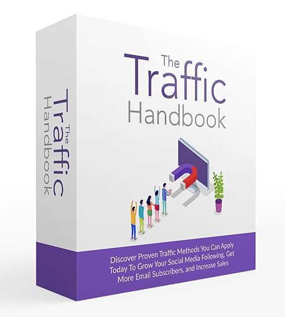 The Traffic Handbook Video Course