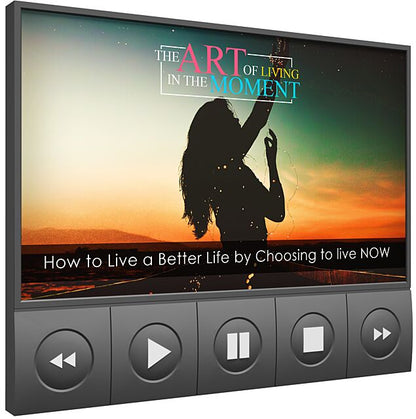 The Art of Living In The Moment Video Upgrade